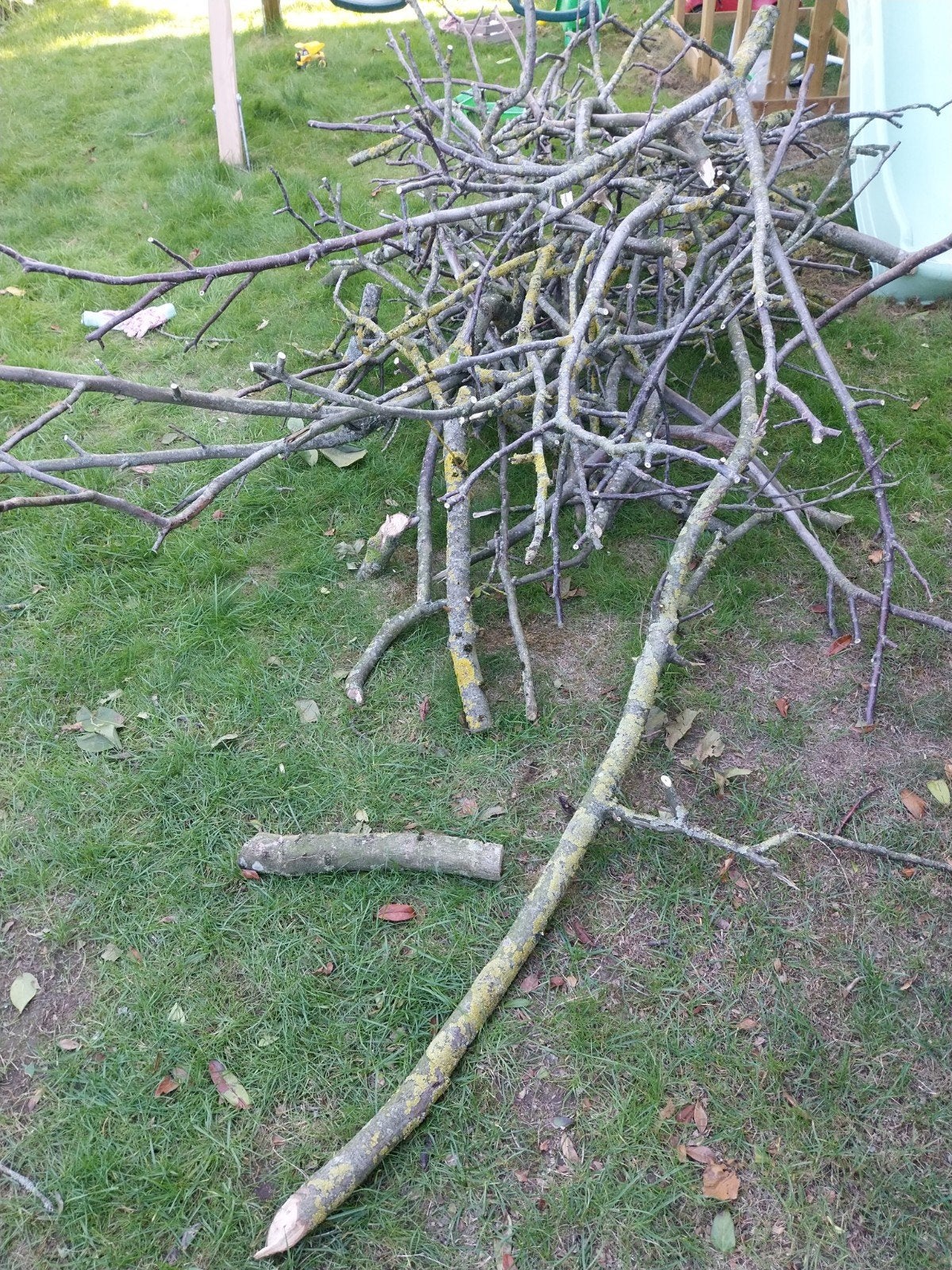 houten takken walnotenboom, Minder dan 3 m³, Ophalen, Takken