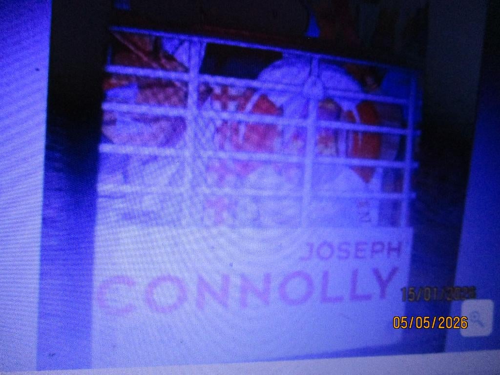 S.O.S. Joseph Connoly 9780571204441 ##, Ophalen of Verzenden, Gelezen