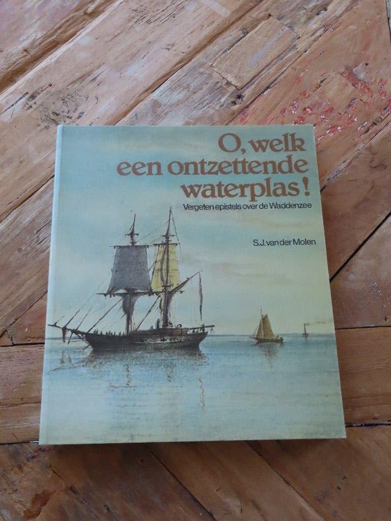 O, welk een ontzettende waterplas!, Boeken, Geschiedenis | Stad en Regio, Ophalen of Verzenden, 20e eeuw of later, Gelezen
