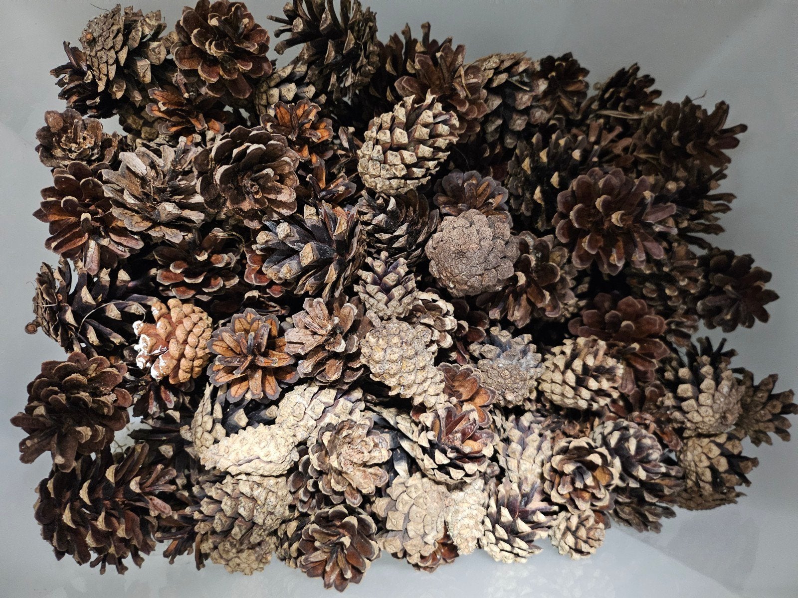 Grote hoeveelheid  bloemschikmaterialen, Ophalen, Gebruikt, Meerdere media
