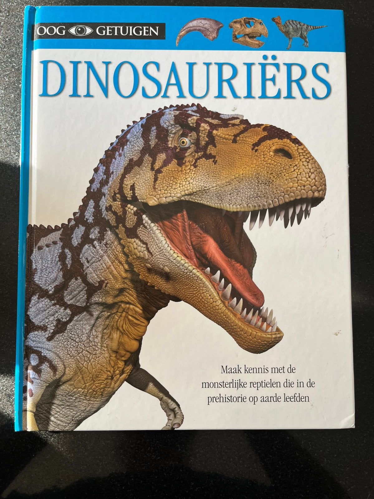 Dinosauriërs, Boeken, Ophalen of Verzenden, Zo goed als nieuw, Non-fictie