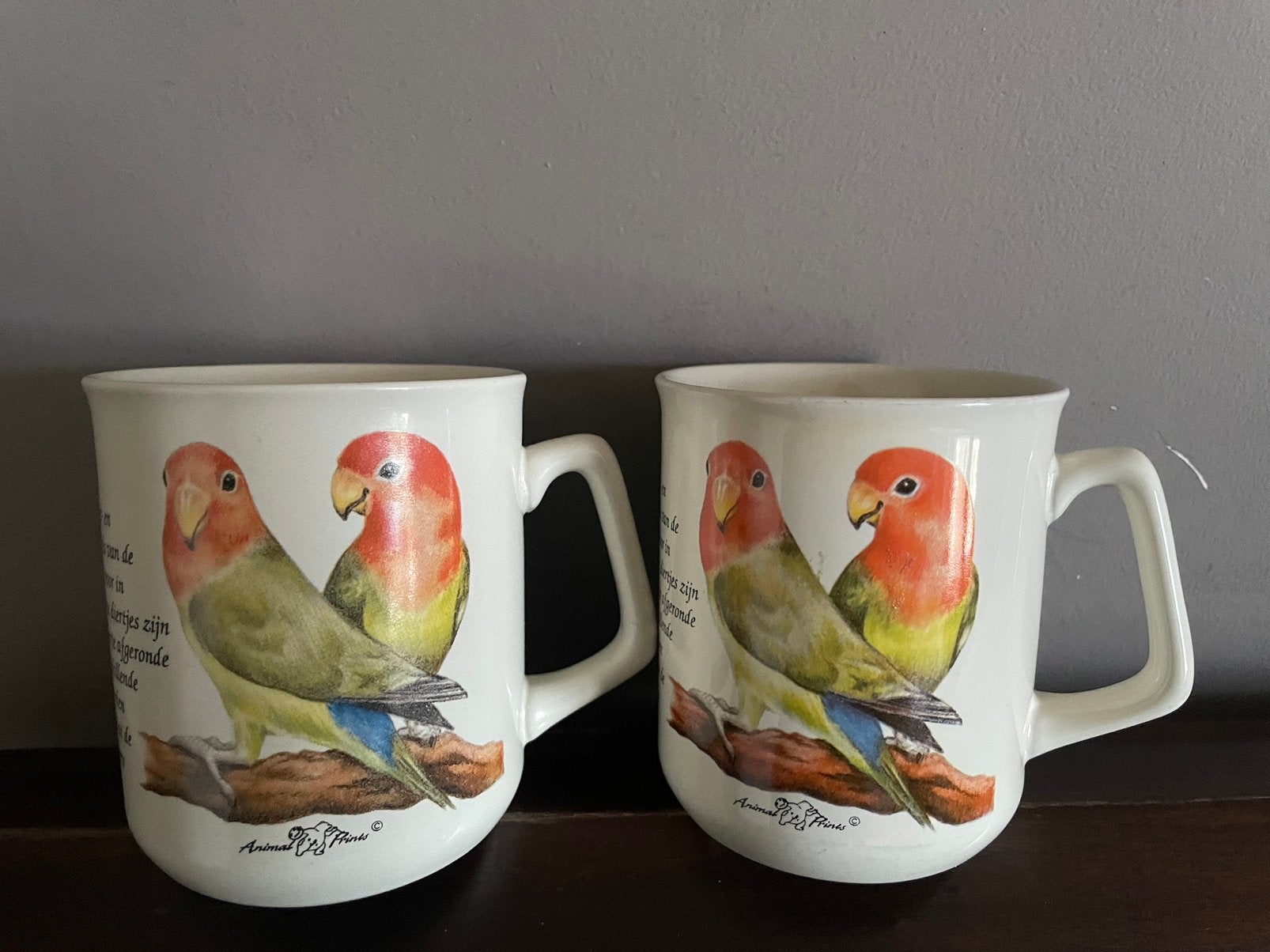 2 mokken met agapornis vogels, Ophalen of Verzenden, Zo goed als nieuw, Porselein, Overige typen