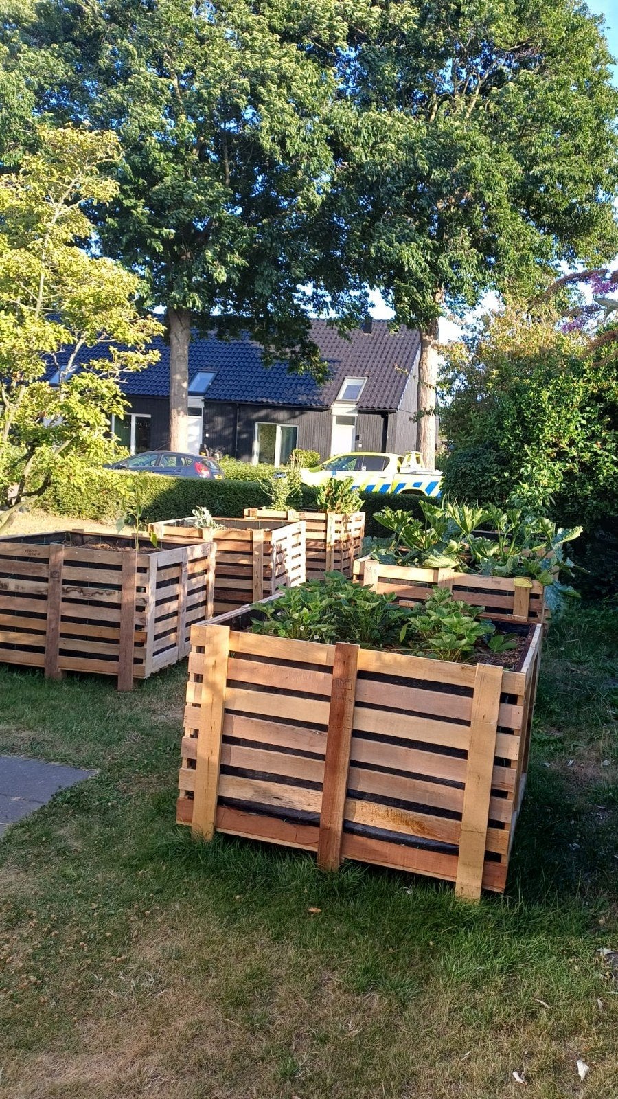Verhoogde moestuinbak van hardhout, Ophalen, Zo goed als nieuw, 60 tot 100 cm, 60 cm of meer