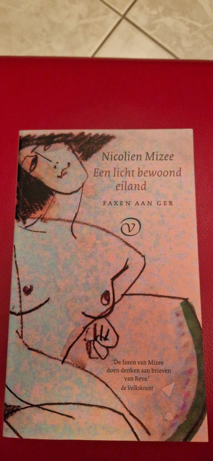 Nicolien Mizee - Een licht bewoond eiland (nieuw), Ophalen of Verzenden, Nieuw, Nicolien Mizee, Nederland