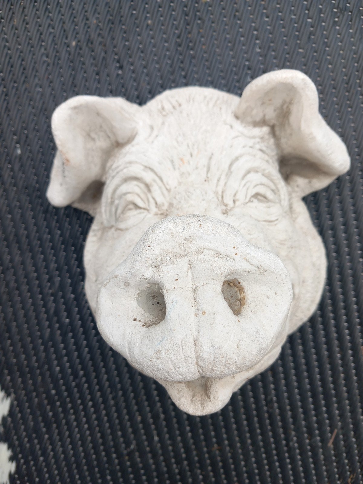 Decoratief varkenskop beeldje van steen, Ophalen, Zo goed als nieuw, Beton, Dierenbeeld