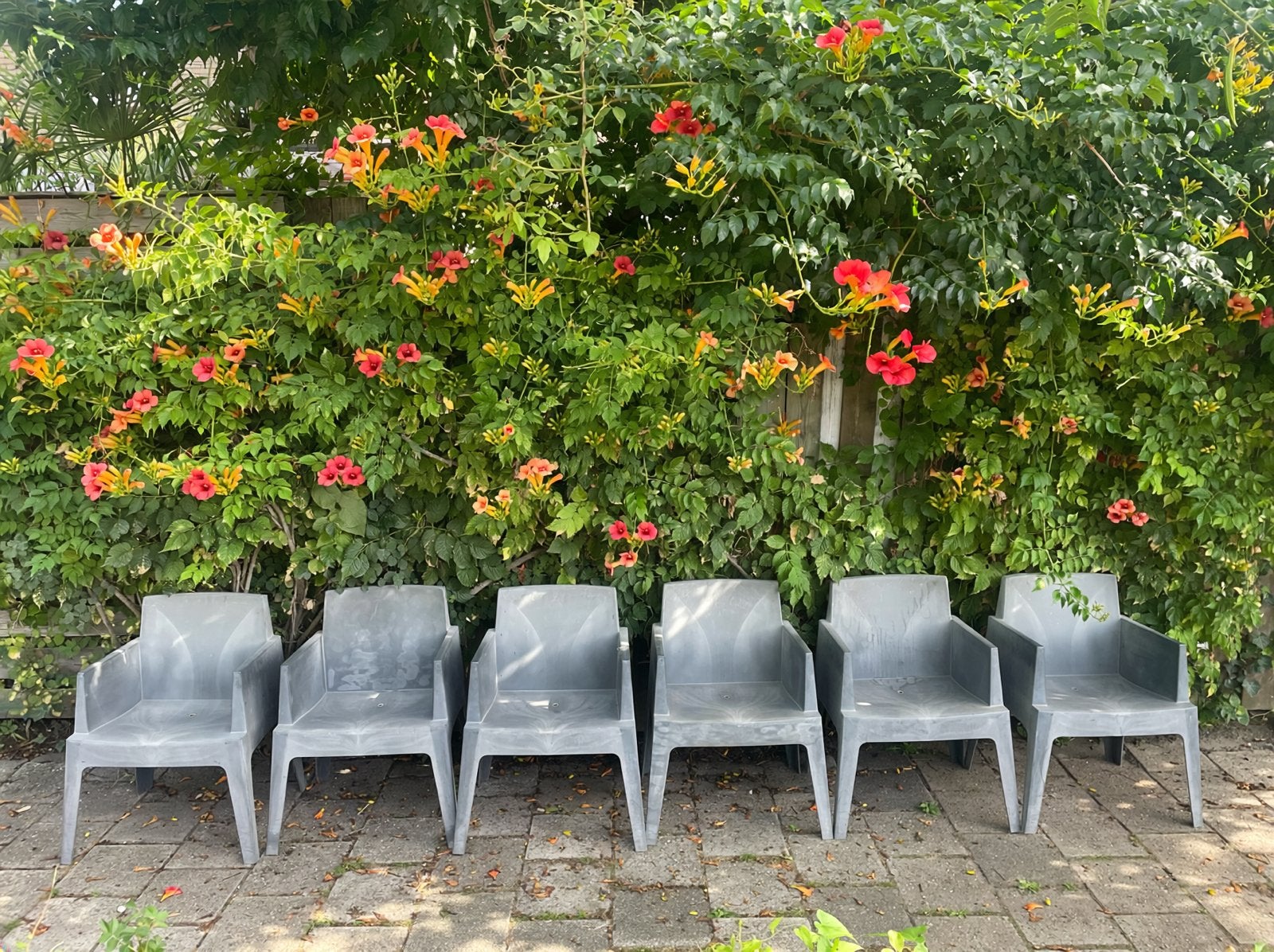 Prachtige Siesta Tuinstoelen 6 stuks Betonlook Stapelbaar!, Tuin en Terras, Ophalen, Zo goed als nieuw, Stapelbaar