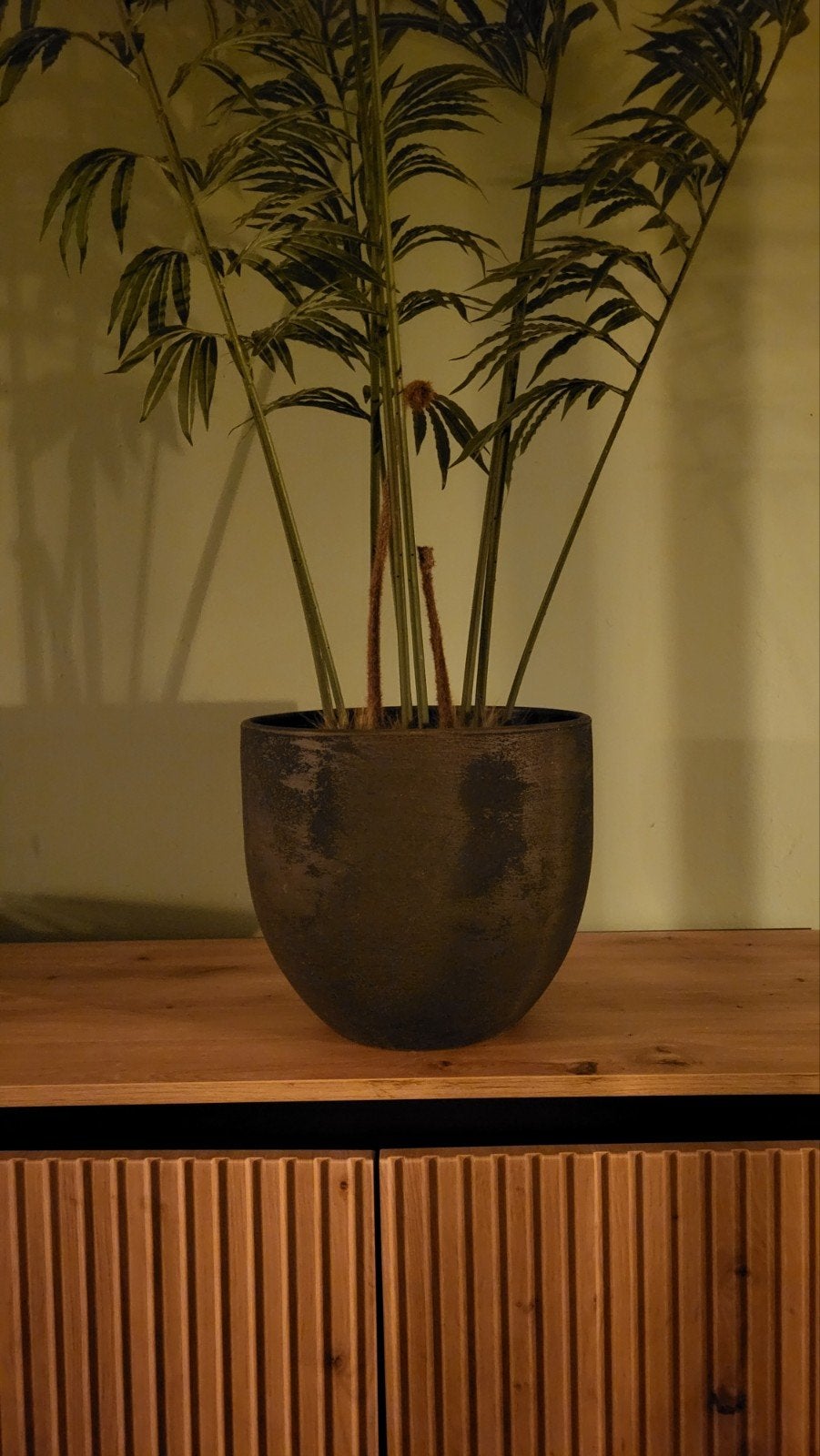 Mooie donkergroene pot, Huis en Inrichting, Ophalen of Verzenden, Minder dan 100 cm