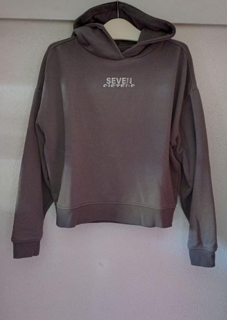 The Sting Seven Sisters Hoody sweat sweater trui M, Maat 38/40 (M), Bruin, Seven Sisters, Ophalen of Verzenden