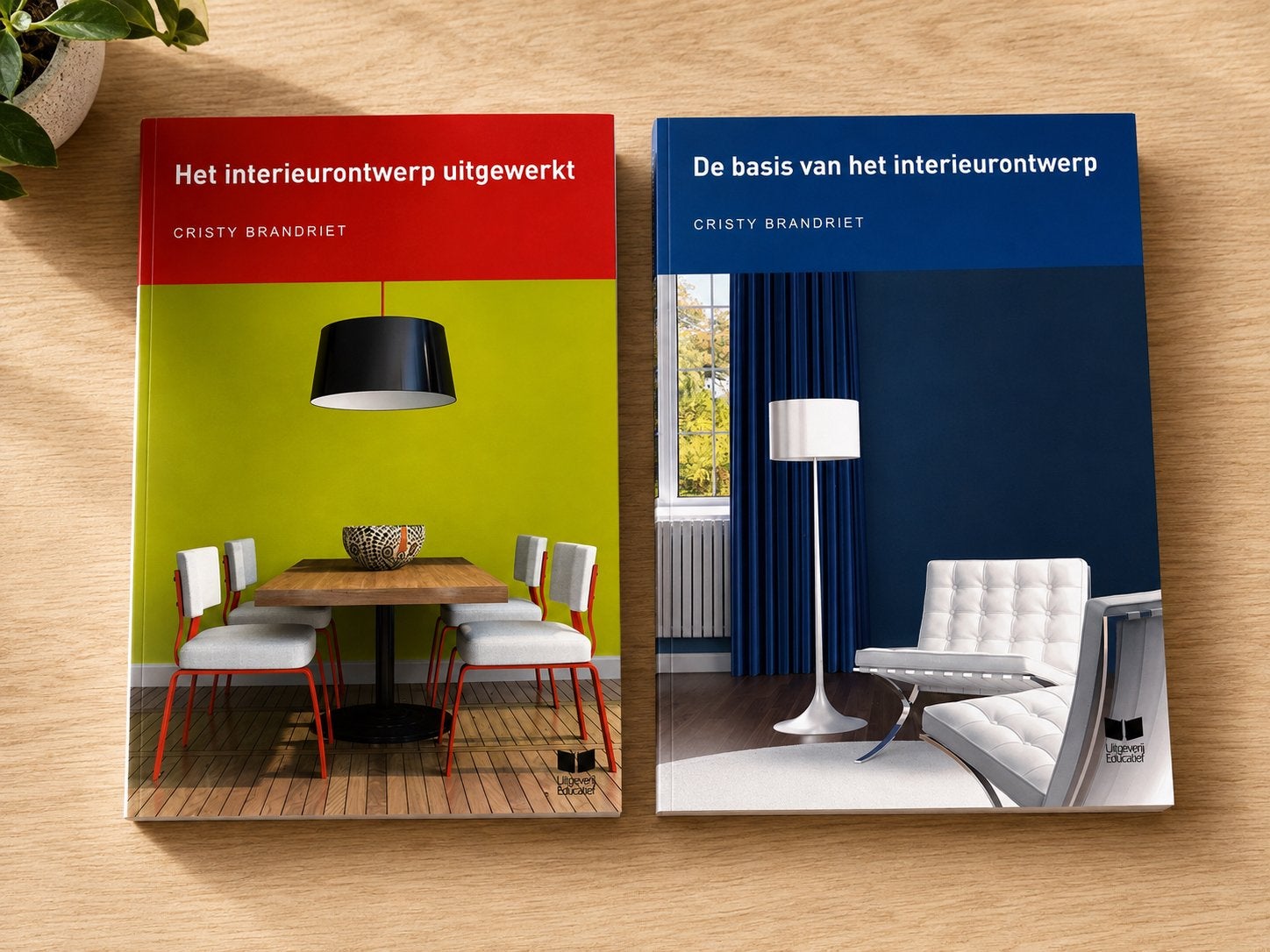 Boeken Interieurontwerp: De basis & uitgewerkt (Cristy Brand, Boeken, Ophalen, Zo goed als nieuw, HBO