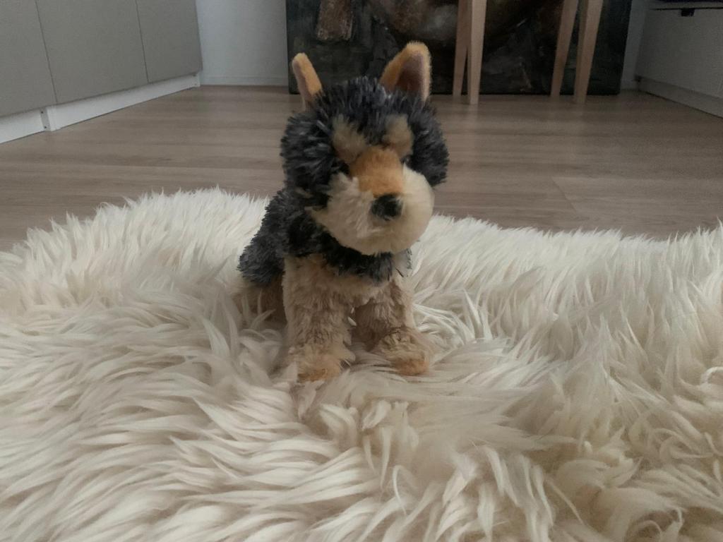 Douglas cuddle toys hond essa plush met accessoires, Kinderen en Baby's, Speelgoed | Knuffels en Pluche, Overige merken, Overige karakters