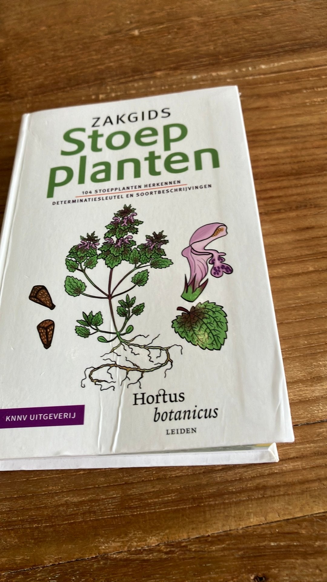 Hortus Botanicus Leiden - Zakgids Stoepplanten, Boeken, Bloemen, Planten en Bomen, Ophalen of Verzenden, Zo goed als nieuw, Hortus Botanicus Leiden; Werkgroep Stadsplanten Breda