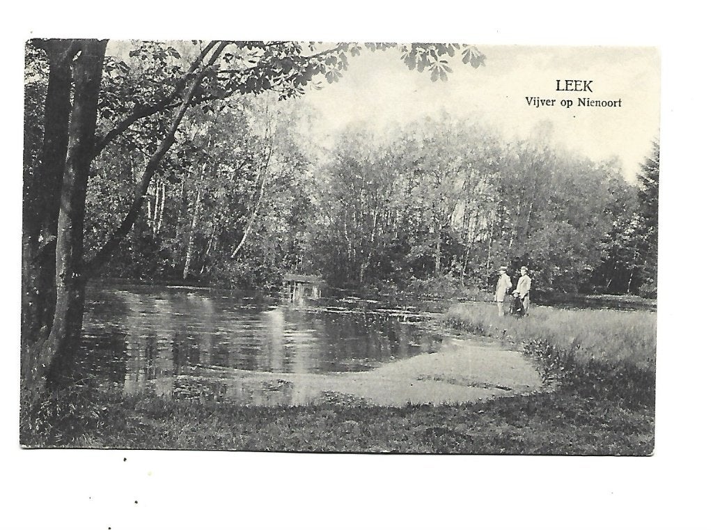 Leek -Vijver op Nienoort, Verzenden, Voor 1920, Gelopen, Groningen