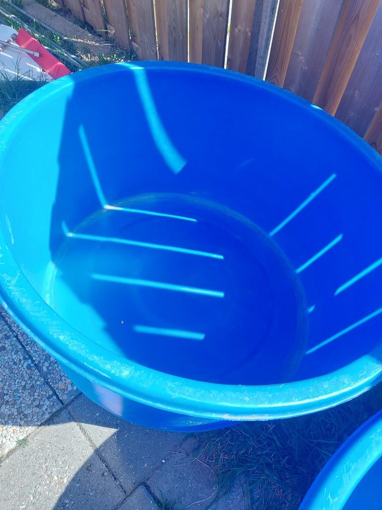 Koi bowl 100cm, Karper of Koi