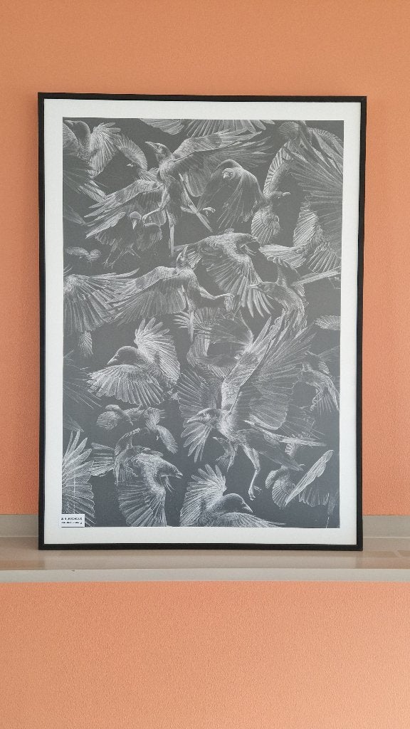 Fotolijst 50x70 cm met Paper Collective print (Kraai), Hangend, Ophalen of Verzenden, Zo goed als nieuw, Wissellijst