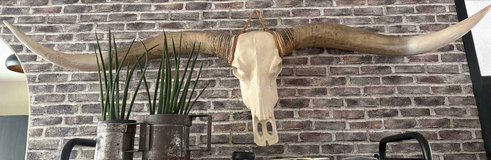Decoratieve Longhorn Schedel met Hoorns, Ophalen, Vintage, Gebruikt, Beige