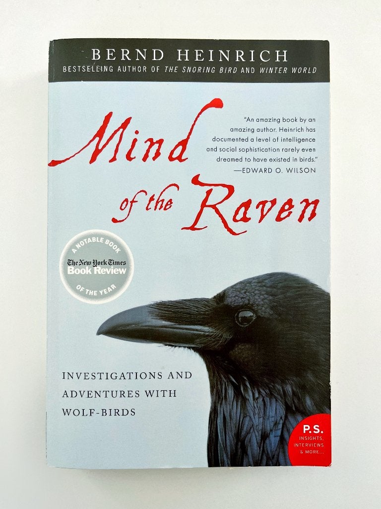 Nature writing Book Mind of the Raven - Bernd Heinrich, Ophalen of Verzenden, Zo goed als nieuw, Bernd Heinrich, Amerika