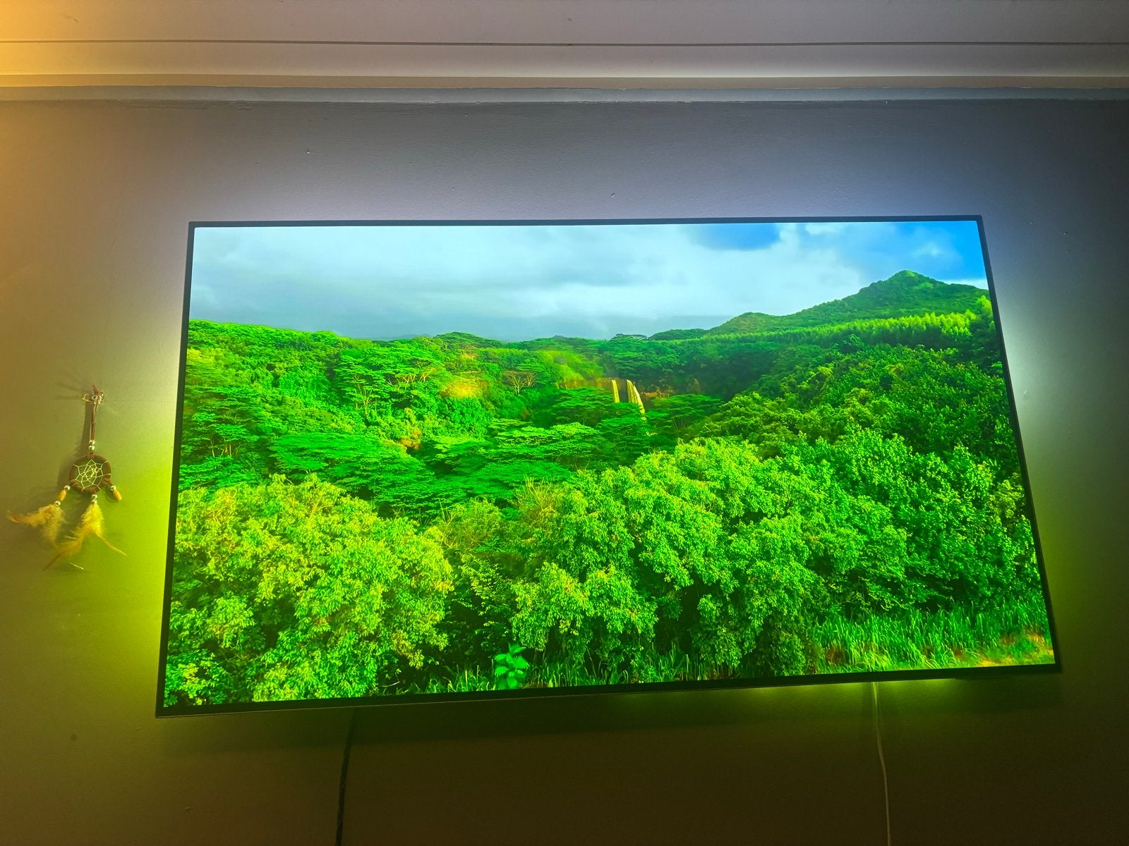 Philips 48 inch OLED TV met Ambilight - Goede staat, Ophalen, Philips, Gebruikt, OLED