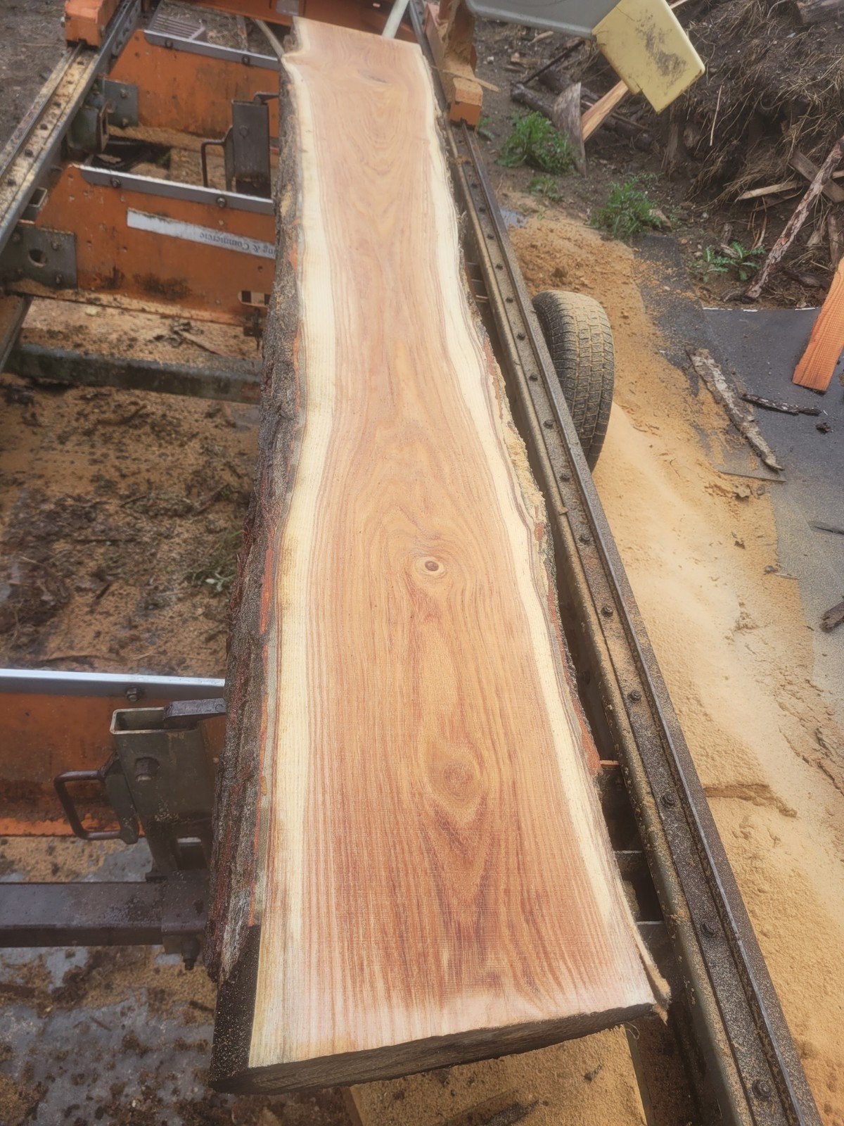 schaaldeel boomplank wandplank vensterbank TAXUS, Ophalen of Verzenden, Nieuw, 180 tot 250 cm, Planken