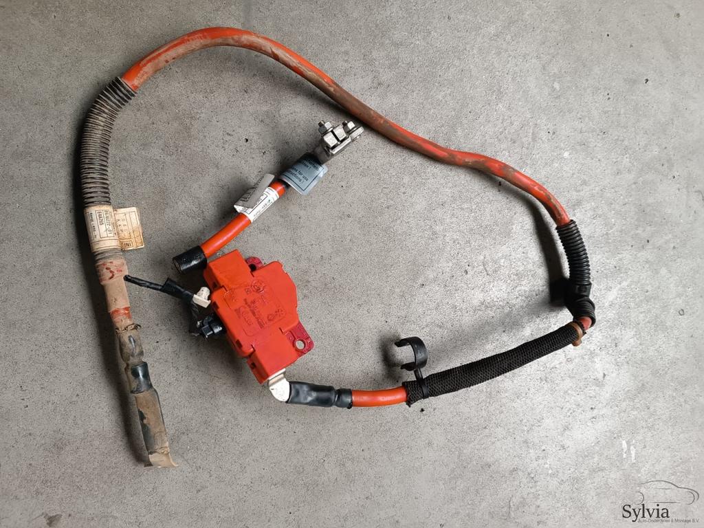 Kabelboom hoofdstroom pluskabel Phev B48 BMW 3 Serie F30 LCI, Auto-onderdelen, Accu's en Toebehoren, Gebruikt, -, -, Ophalen of Verzenden