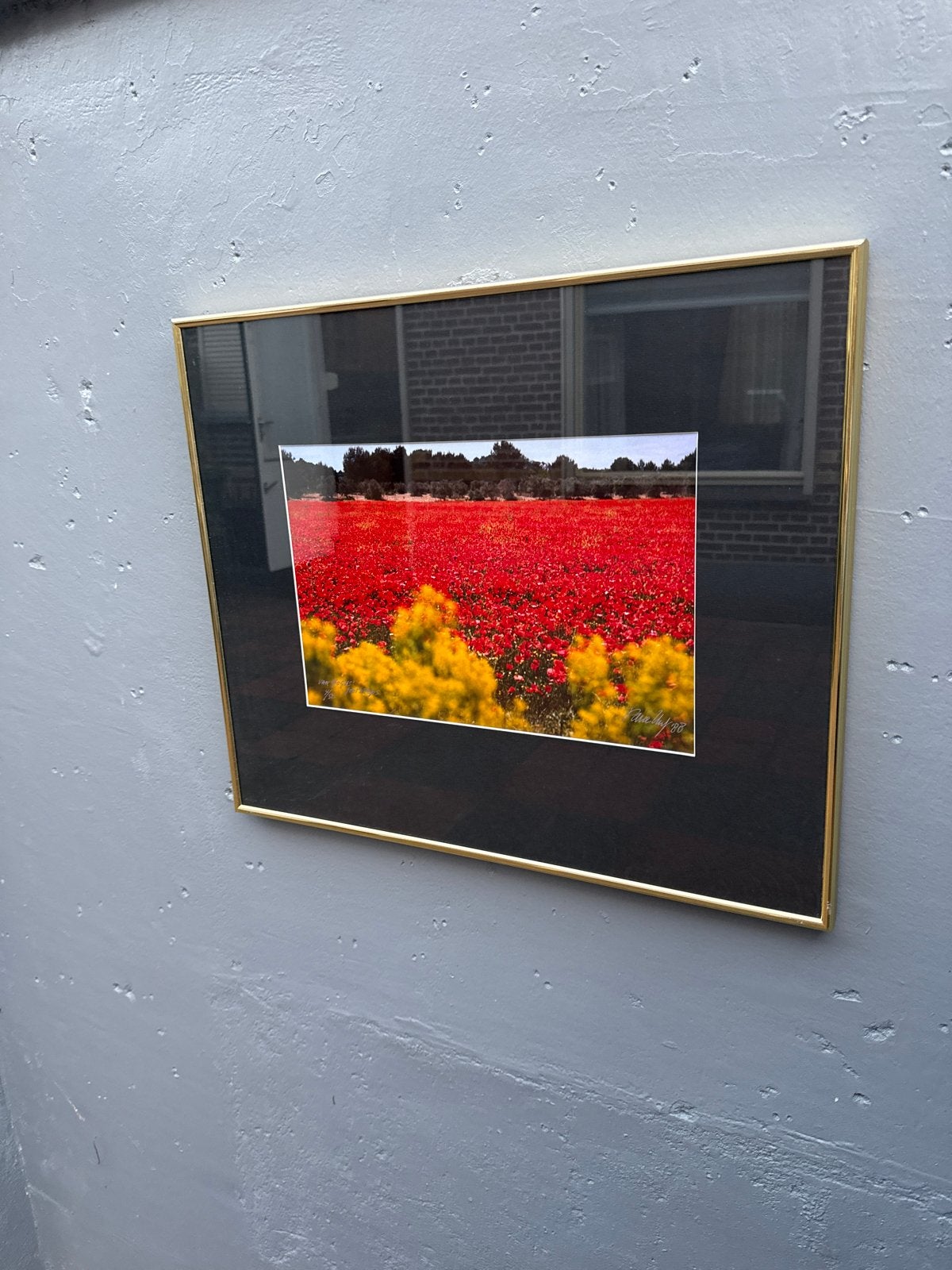 Ingelijste Foto: Rood en Geel Bloemenveld, gesigneerd, Antiek en Kunst, Kunst | Tekeningen en Foto's, Ophalen of Verzenden, Foto