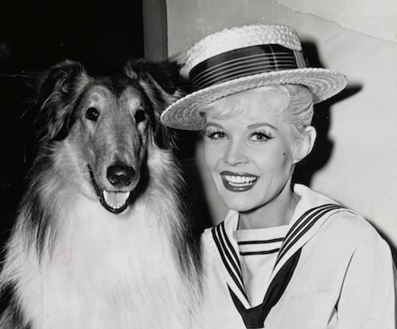 hond Collie LASSIE TV Star actrice JUNE LOCKHART kaart 1963, Verzenden, 1960 tot 1980, Gelopen, Overige thema's