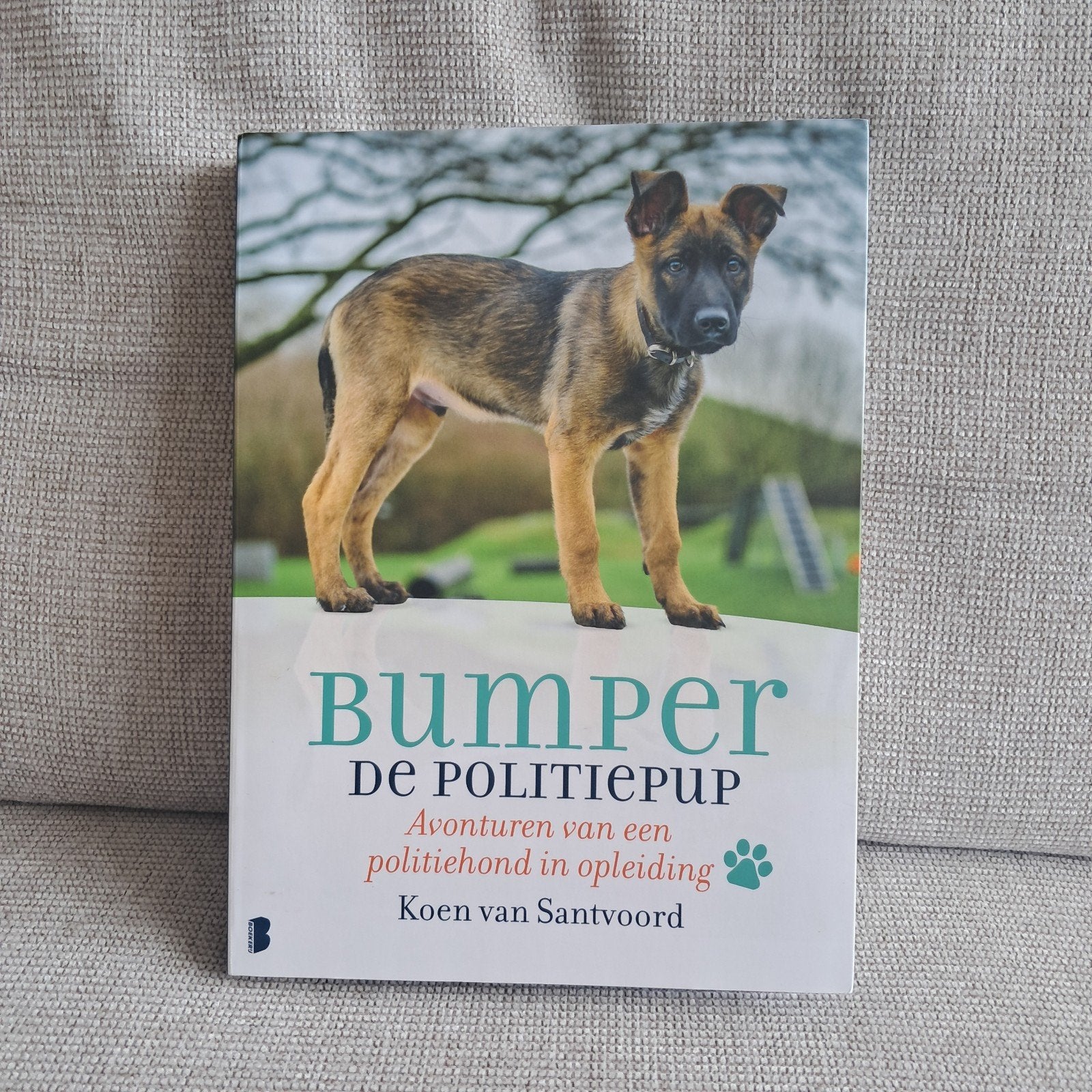 Koen van Santvoord - Bumper de politiepup, Boeken, Ophalen of Verzenden, Zo goed als nieuw, Koen van Santvoord
