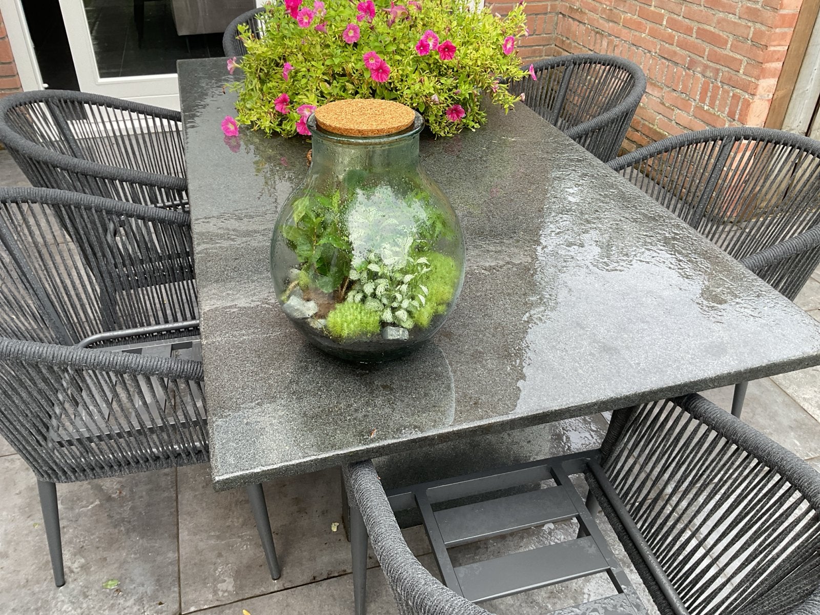 Fles met plantjes - Terrarium/Plantenfles, Huis en Inrichting, Groen, Gebruikt, Overige stijlen, Ophalen of Verzenden