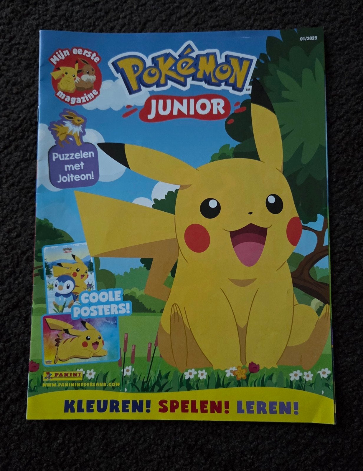 Pokemon tijdschrift, Ophalen of Verzenden, Nieuw, Overige typen