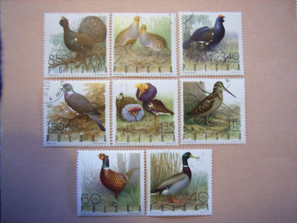 BL   Polen 1988-1995, Ophalen of Verzenden, Polen, Gestempeld