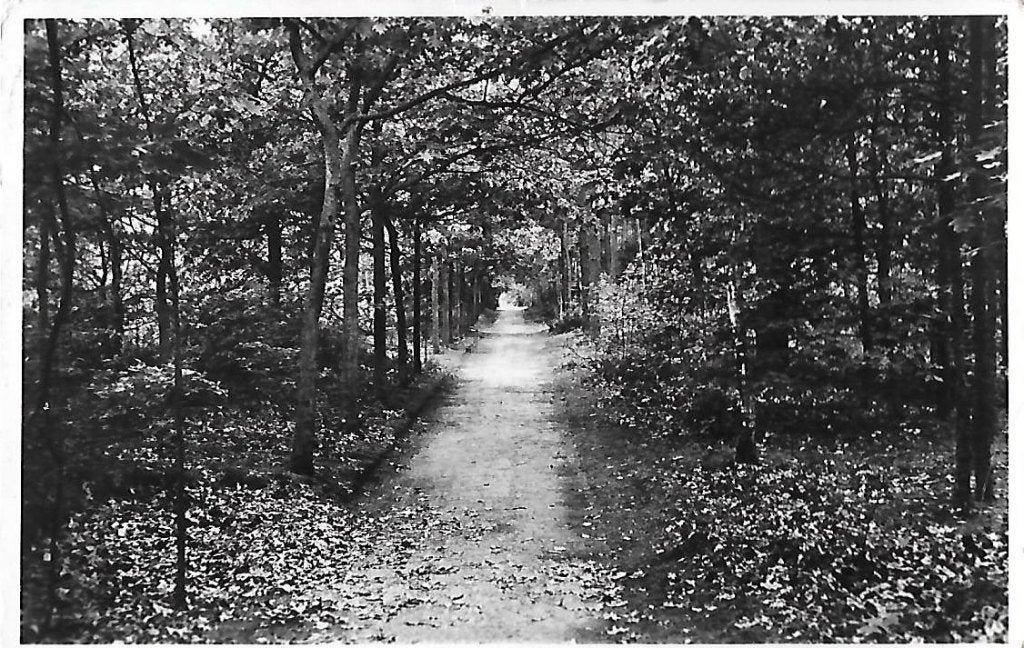 Oldebroek oude gelopen ansichtkaart ( 8030), Verzamelen, Ophalen of Verzenden, 1980 tot heden, Gelopen
