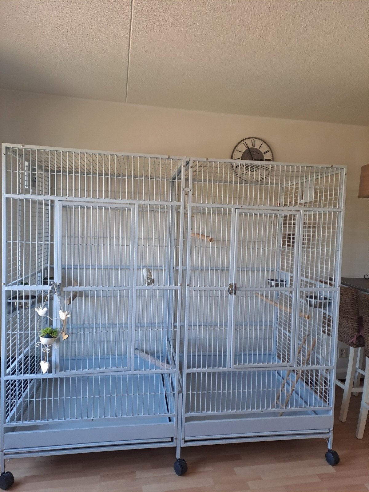 Vogelkooi papegaai groot 200x100x190, Dieren en Toebehoren, Vogels | Hokken en Kooien, Ophalen, Zo goed als nieuw, Metaal, Vogelkooi