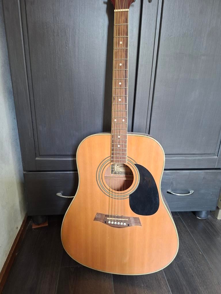 Western gitaar Everdeen DG-20, Ophalen, Gebruikt, Western- of Steelstringgitaar