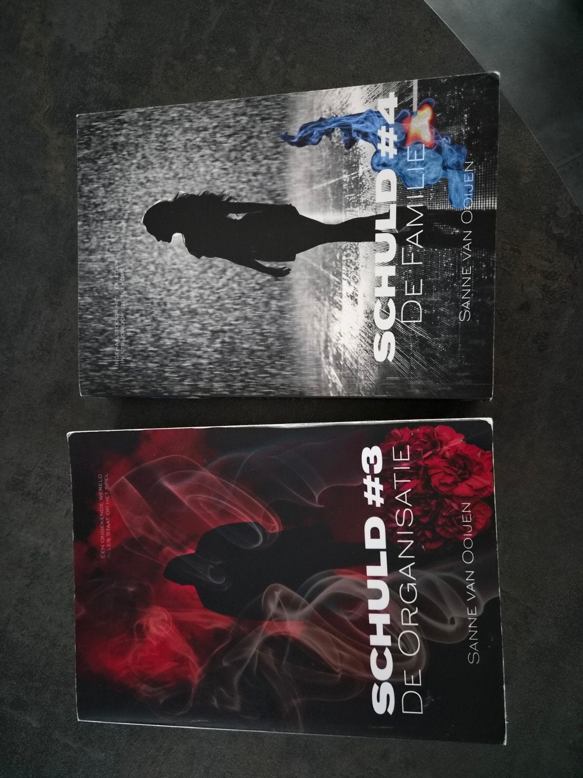 2 boeken van Sanne van Ooijen - Schuld serie, Ophalen of Verzenden, Gelezen, Sanne van Ooijen