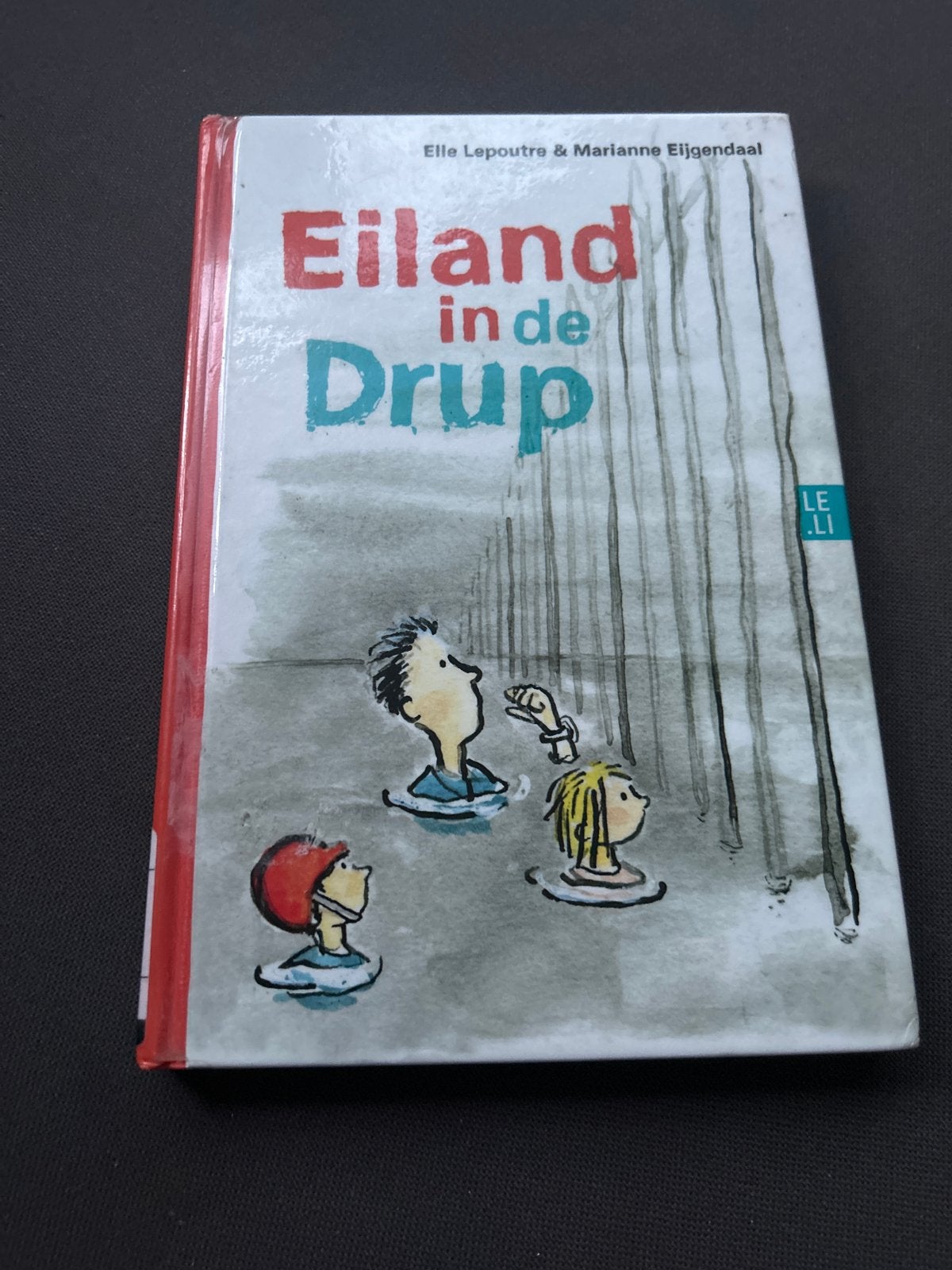 Eiland in de Drup - Spannend voorleesboek, Ophalen of Verzenden, Gelezen, Fictie algemeen