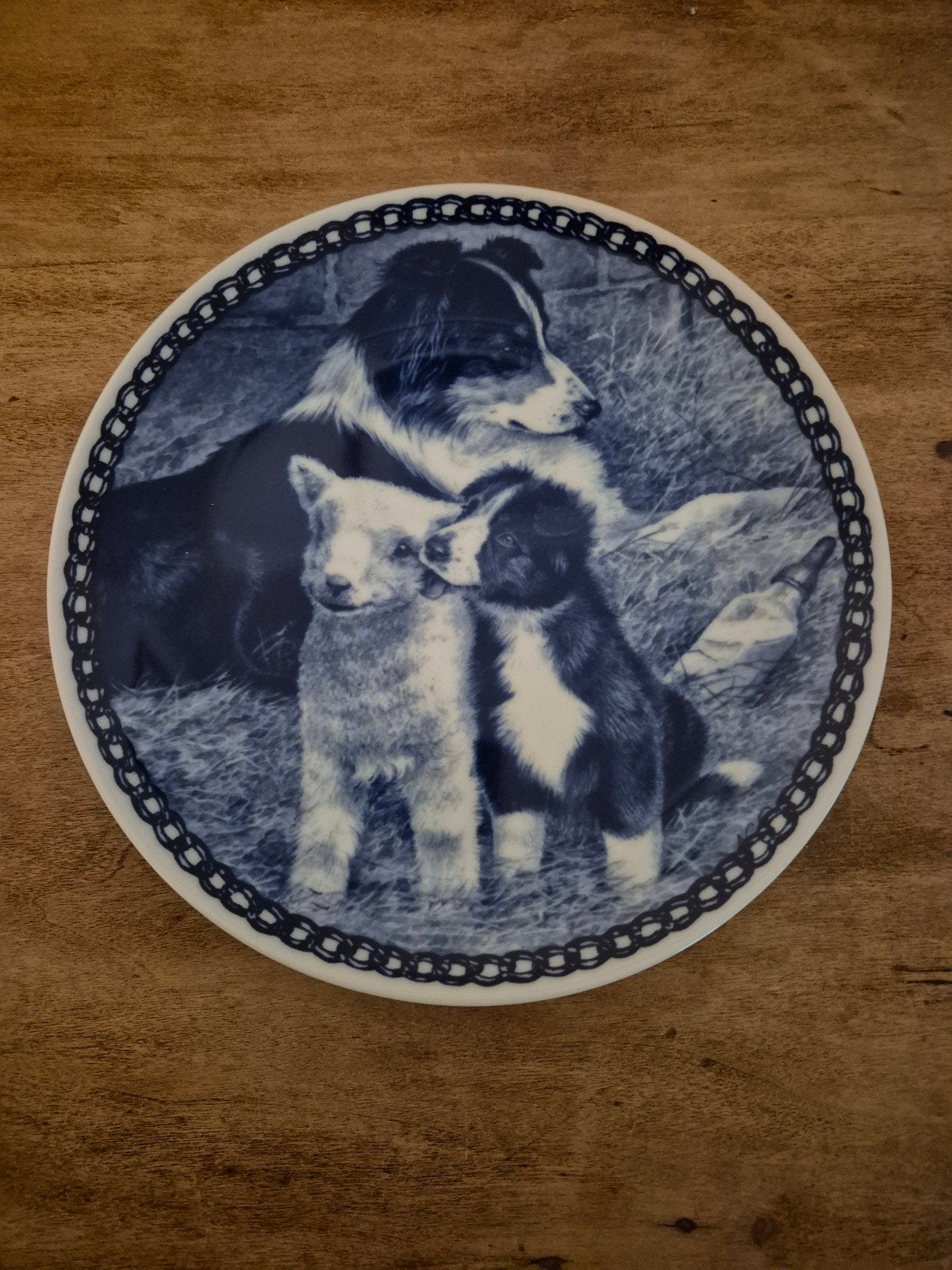 Bord Deens design Border Collie met pup, Verzenden