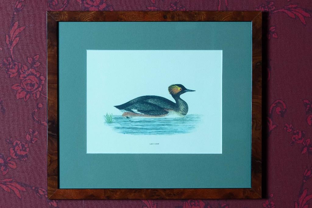 (nr.40) Drie afbeeldingen in lijst, diverse watervogels, Ophalen, Zo goed als nieuw