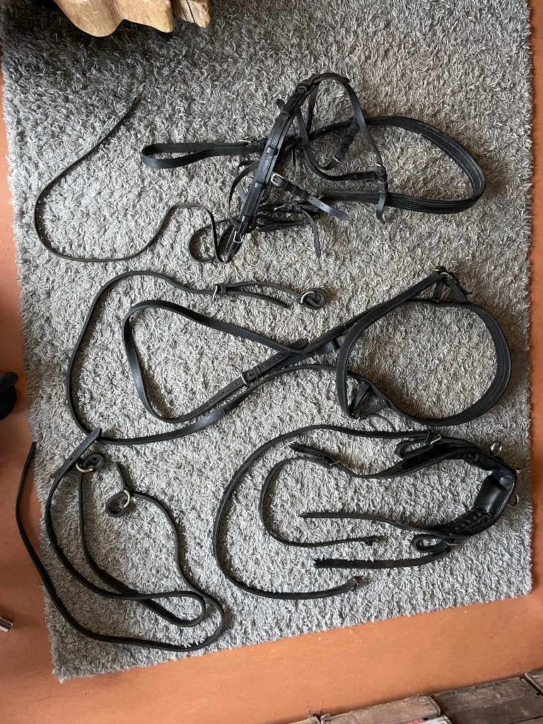 Mentuig FULL zwart leer, Dieren en Toebehoren, Gebruikt, Mentuig, Ophalen of Verzenden, Zwart