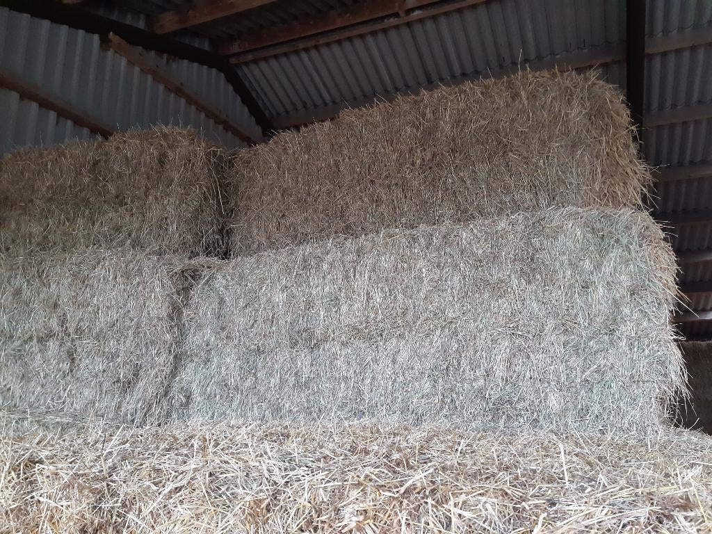 Paardenhooi hooi A kwaliteit geheel vrij van onkruiden, Ophalen of Verzenden, Vee