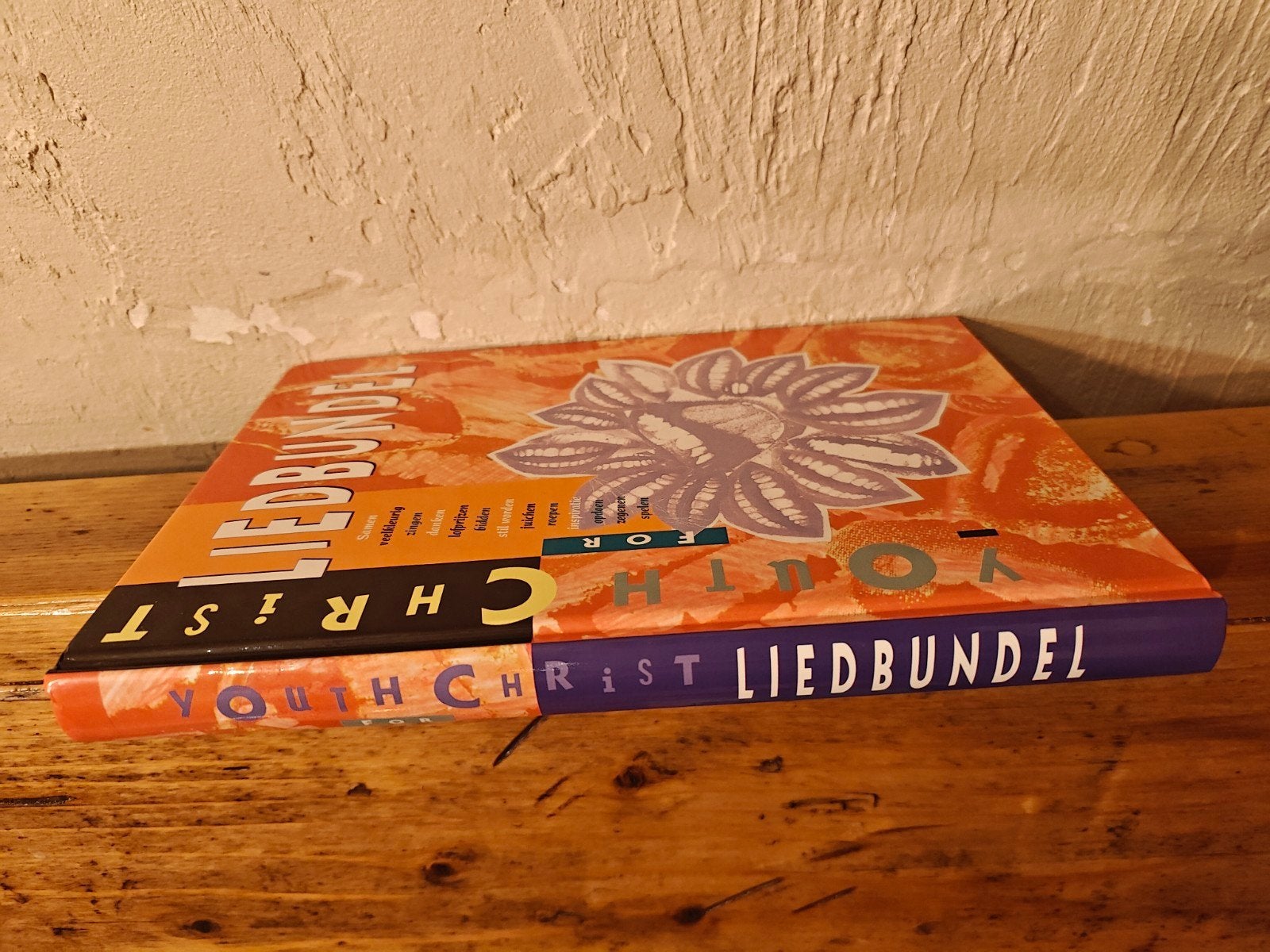 Youth for Christy liedbundel., Ophalen of Verzenden, Artiest