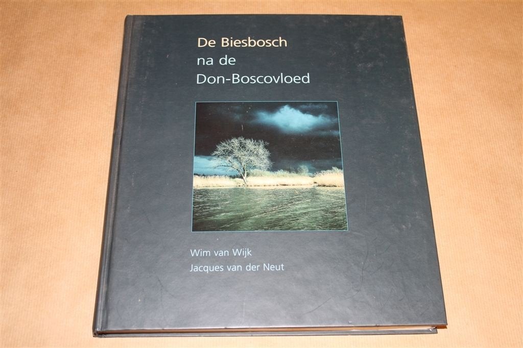 De Biesbosch na de Don-Boscovloed., Ophalen of Verzenden, Gelezen