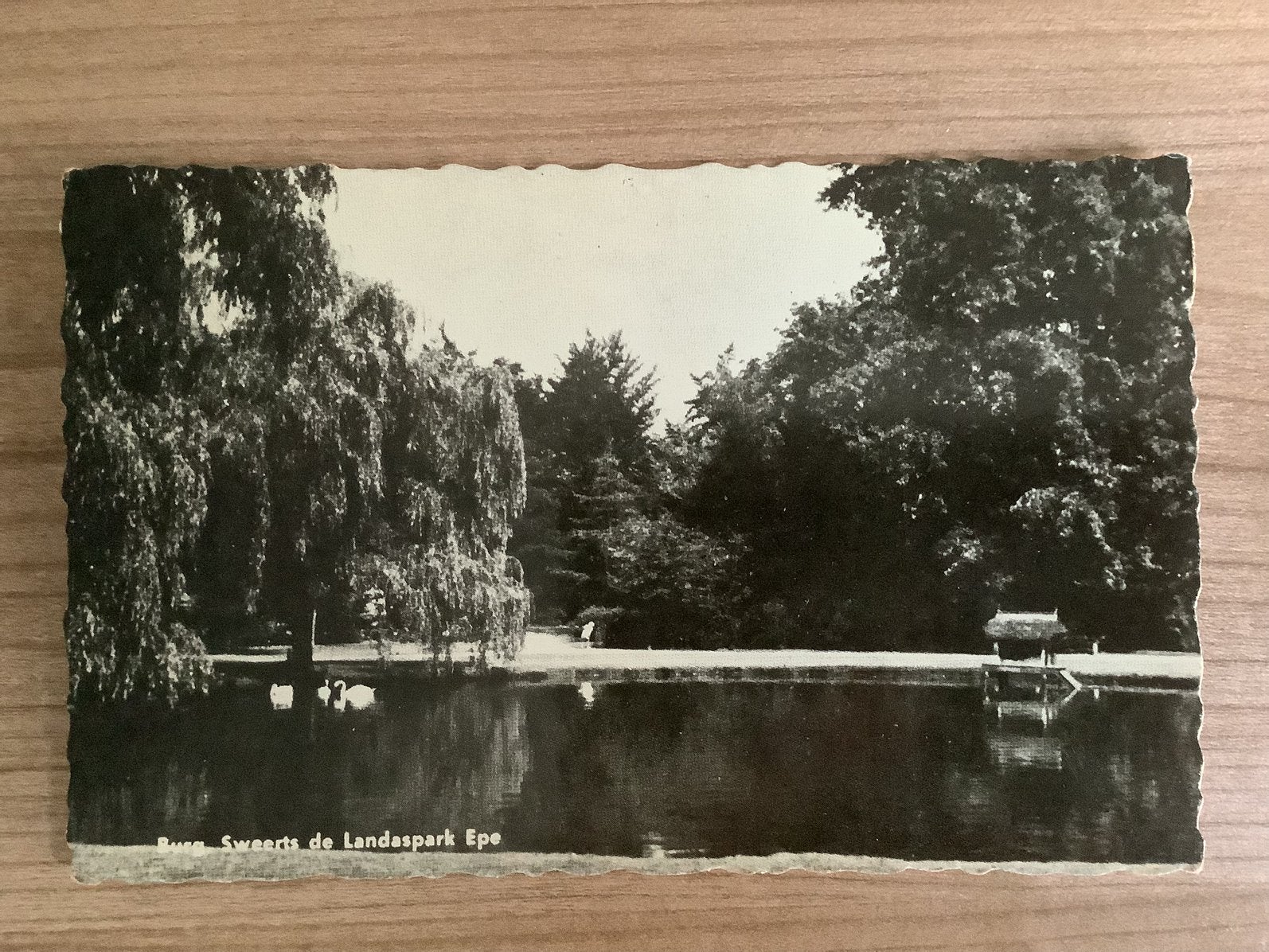 ansichtkaart Epe, Verzamelen, Verzenden, Gelopen, Gelderland