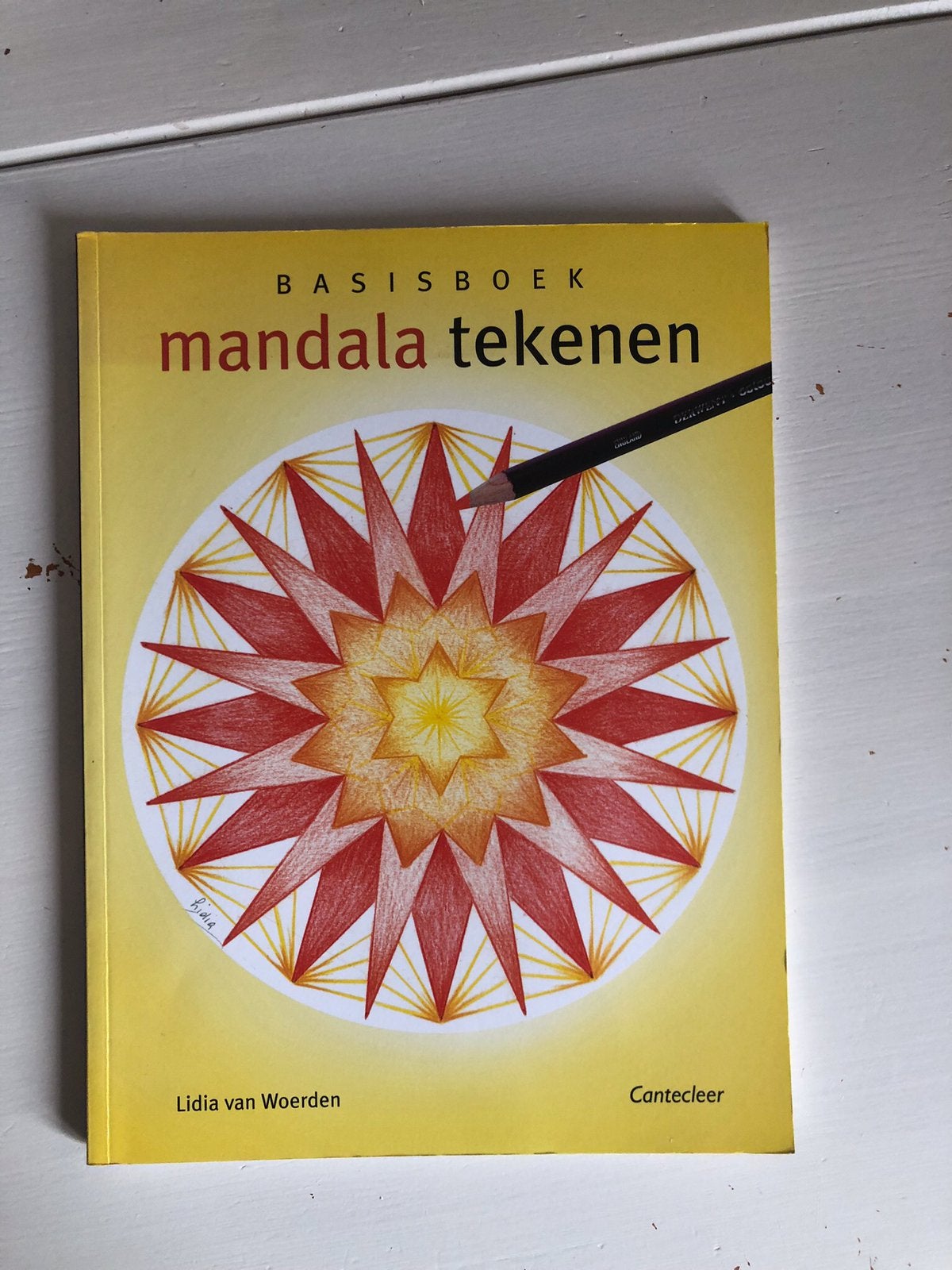 L. van Woerden - Basisboek Mandala tekenen, Ophalen of Verzenden, Zo goed als nieuw, Tekenen en Schilderen, L. van Woerden