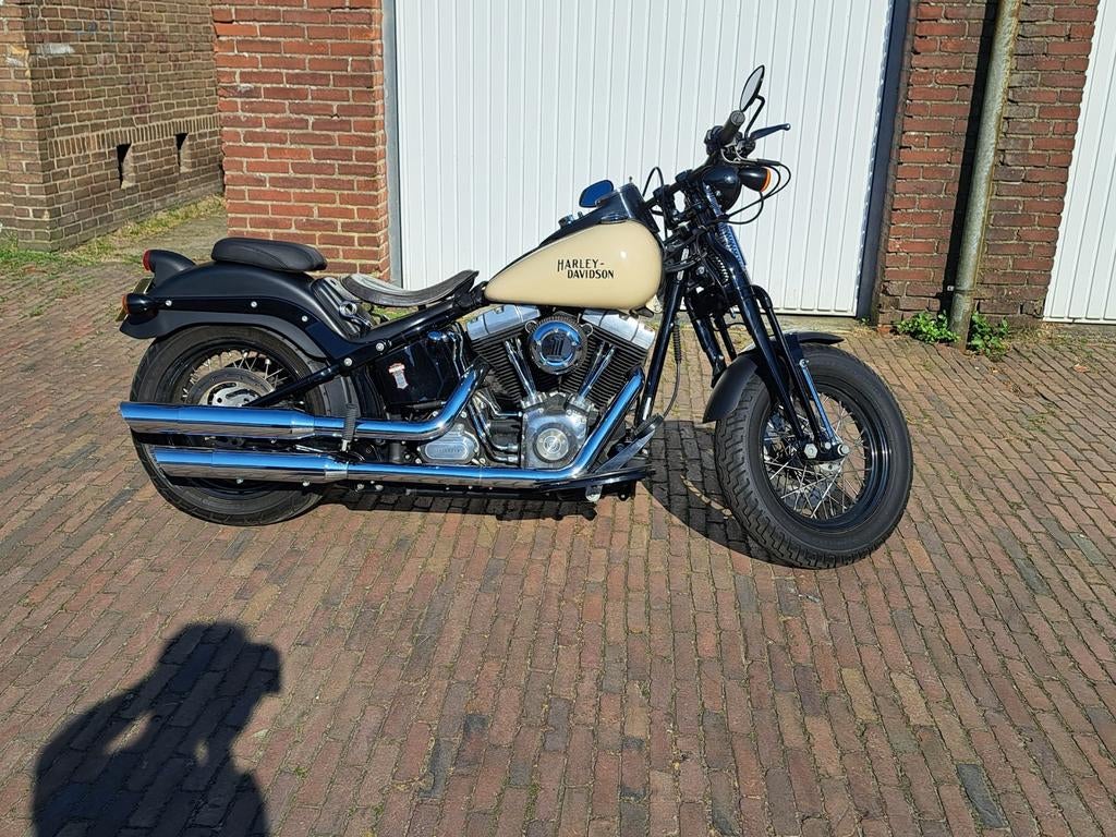 Mooie Harley Davidson Crossbones 2009, Particulier, Chopper