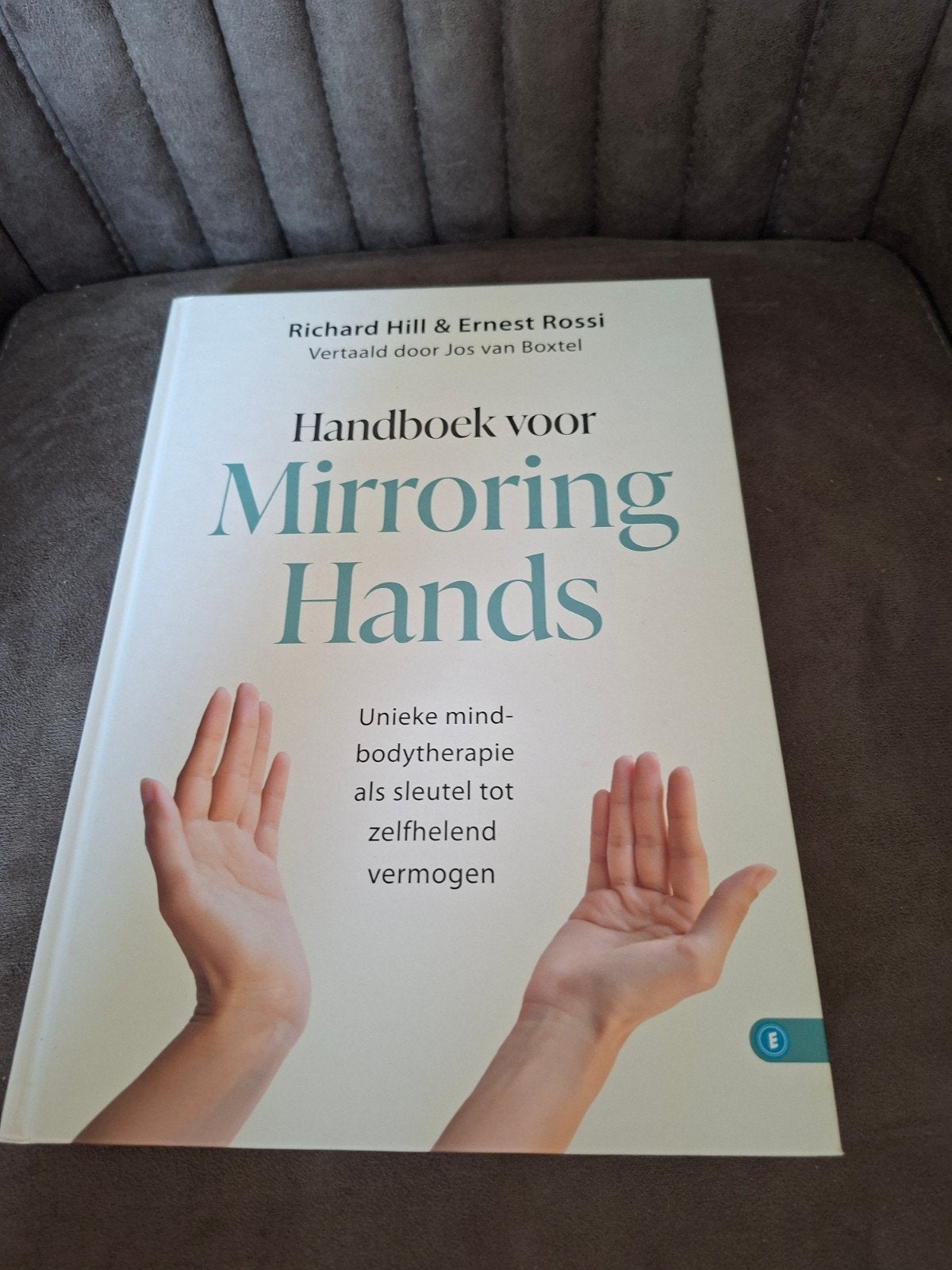 Handboek voor Mirroring Hands - Richard Hill & Ernest Rossi, Boeken, Ophalen of Verzenden, Zo goed als nieuw, Klinische psychologie