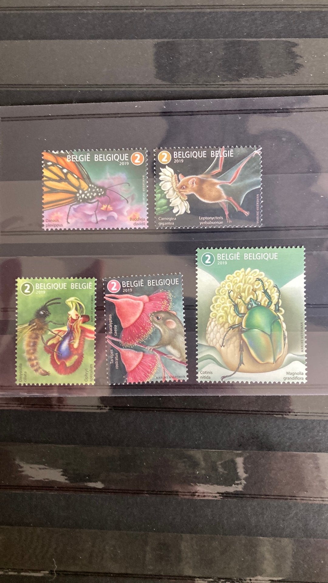 België 4847/51 vleermuis insecten post fris/1569, Ophalen of Verzenden