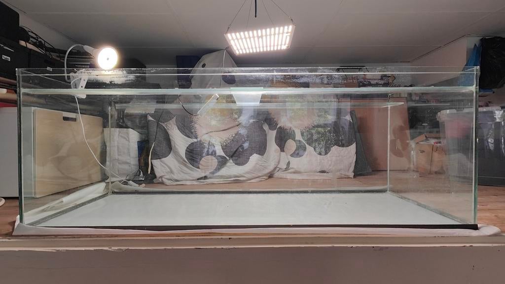 Groot aquarium 160 cm (450L) – ook geschikt als terrarium, Dieren en Toebehoren, Ophalen, Gebruikt, Leeg aquarium