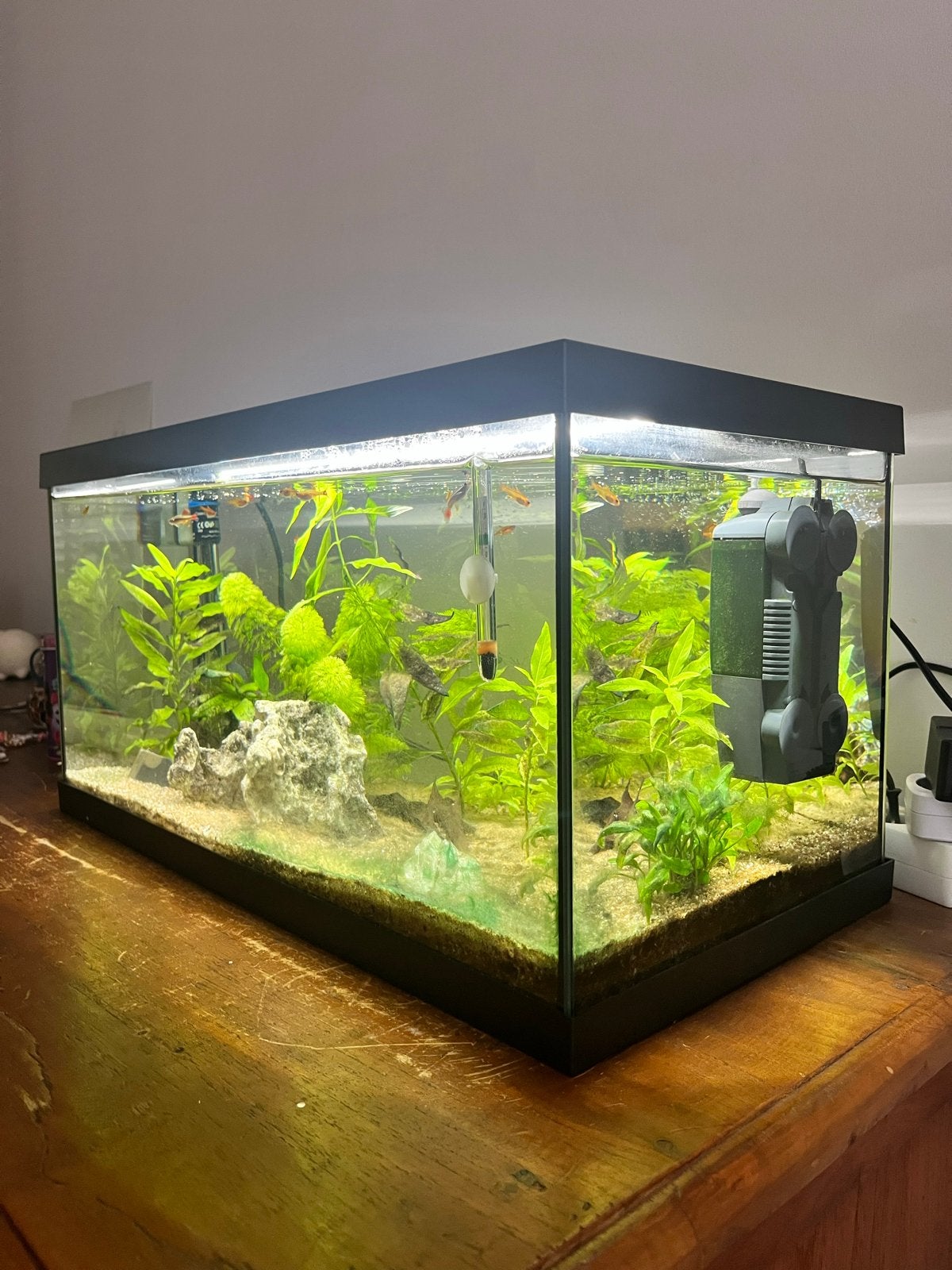 Eheim 60 liter aquarium, Ophalen, Zo goed als nieuw, Gevuld zoetwateraquarium