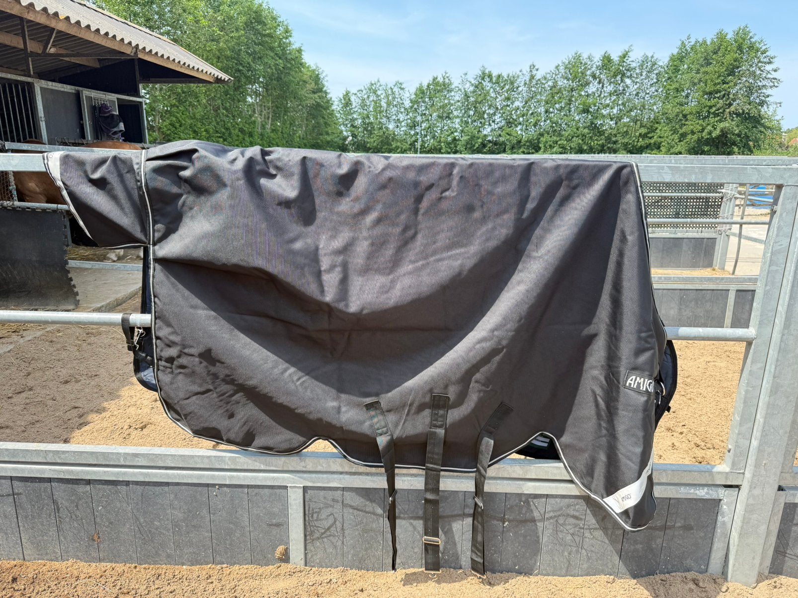 Amigo Bravo 12 Plus Medium 250g, Dieren en Toebehoren, Paarden en Pony's | Dekens en Dekjes, Full (L), 250 g, Nieuw, Ophalen of Verzenden