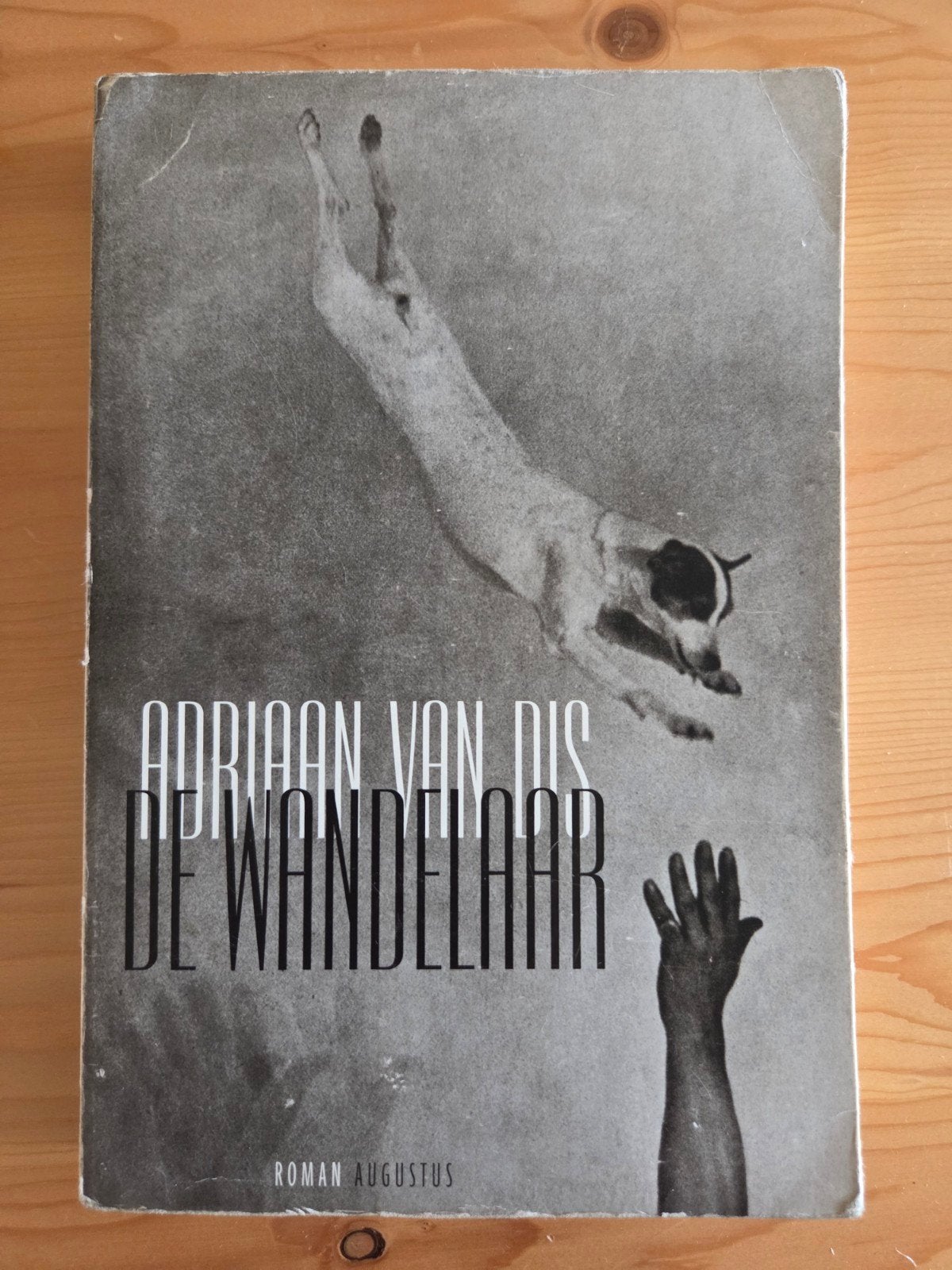 Adriaan van Dis - De wandelaar, Ophalen of Verzenden, Gelezen, Adriaan van Dis