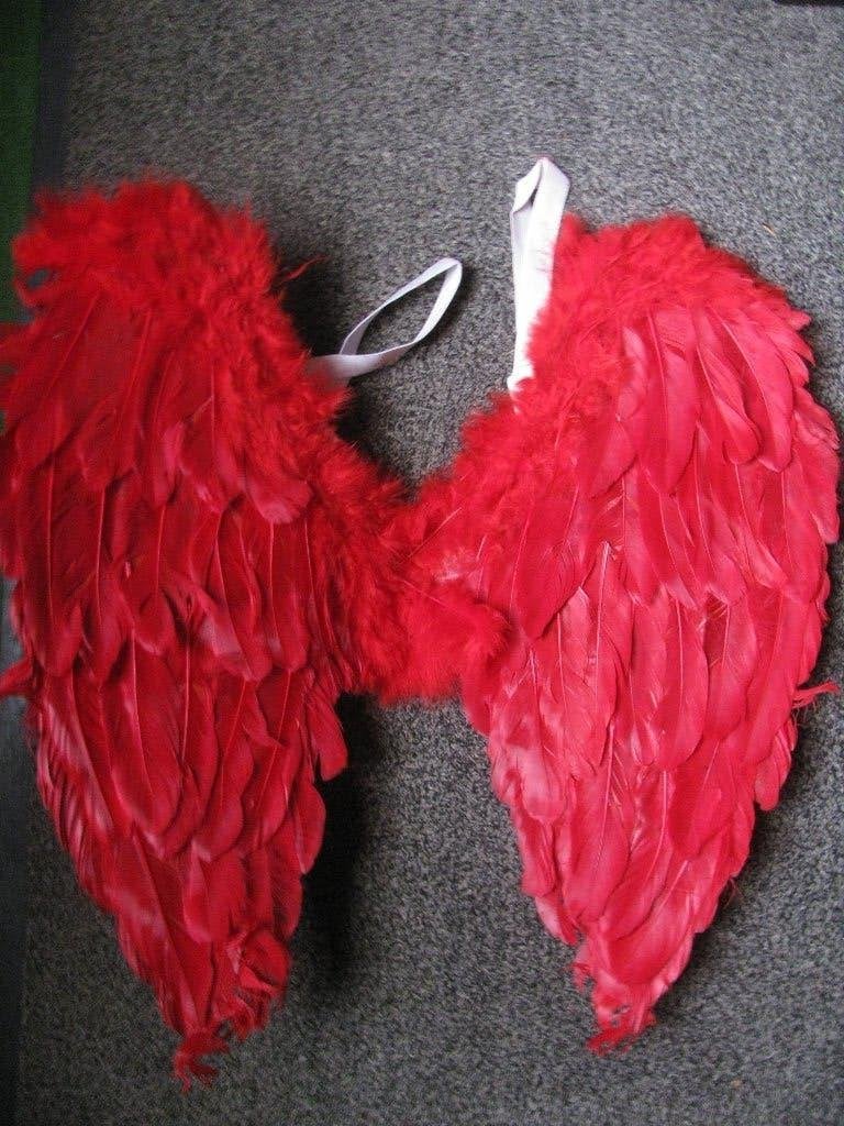 Engelvleugels / Engel Vleugels met Rode Veren - 50 cm, Antiek en Kunst, Verzenden